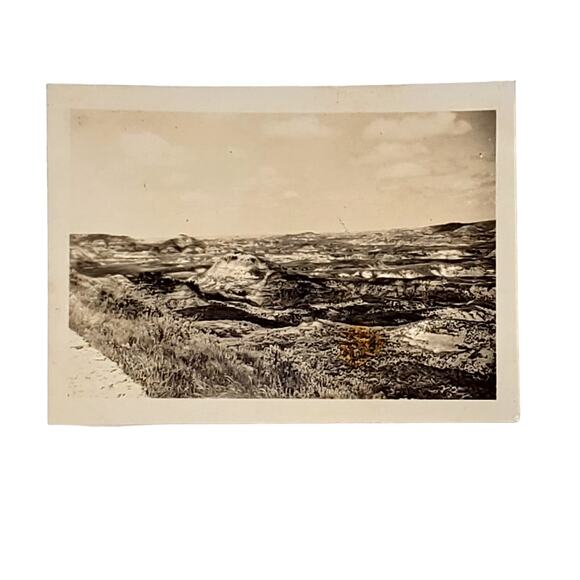 Vtg B&W Photo Found 1940s Yellowstone National Park Rocky Ground View Snapshot - Picture 1 of 4